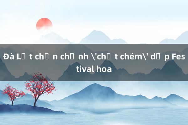 Đà Lạt chấn chỉnh 'chặt chém' dịp Festival hoa