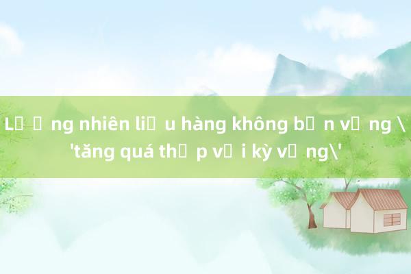 Lượng nhiên liệu hàng không bền vững 'tăng quá thấp với kỳ vọng'