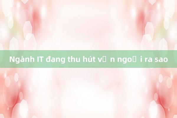 Ngành IT đang thu hút vốn ngoại ra sao