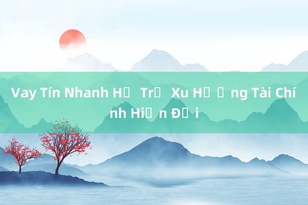 Vay Tín Nhanh Hỗ Trợ Xu Hướng Tài Chính Hiện Đại