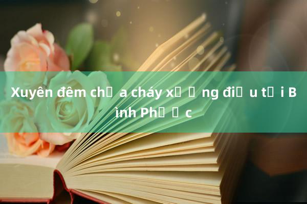 Xuyên đêm chữa cháy xưởng điều tại Bình Phước